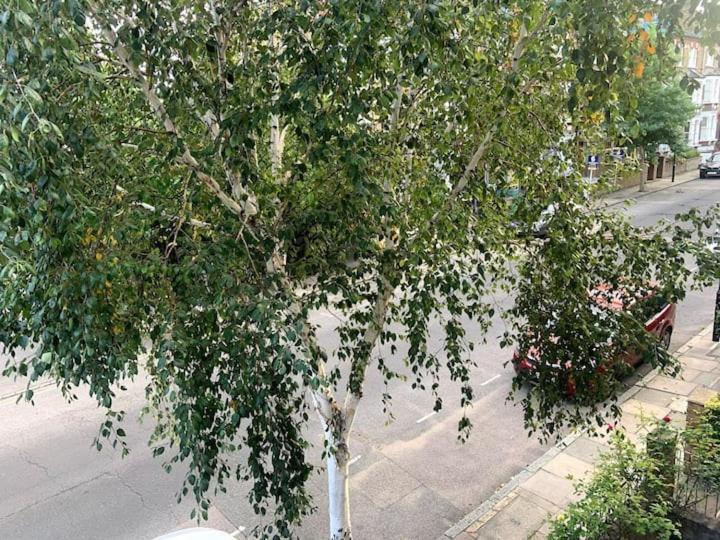 Lovely Spacious 1-Bedroom Flat In Tufnell Park Close To Central London Bagian luar foto